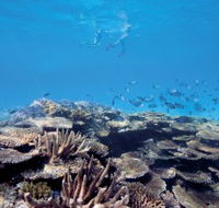 Australian Institute of Marine Science - Accommodation NT