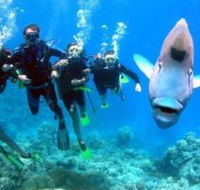 Gotham City Dive Site - Accommodation NT