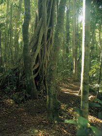  Accommodation NT