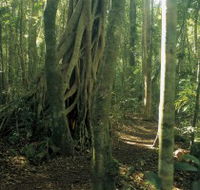 Mount Bithongabel - Accommodation NT