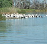 Lake Ross - Accommodation NT