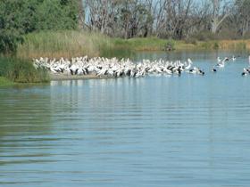 Lake Ross - Accommodation NT 0
