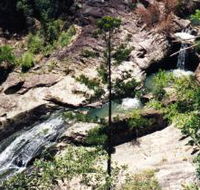 Banksia Track and the Boardwalk - Accommodation NT