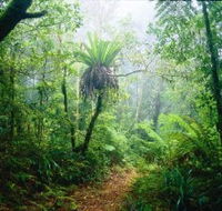 Lamington National Park Green Mountains Section - Accommodation NT
