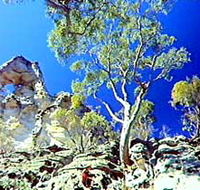 Mount Moffatt Section - Carnarvon National Park - Accommodation NT