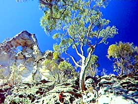 Mount Moffatt Section - Carnarvon National Park - Accommodation NT 0