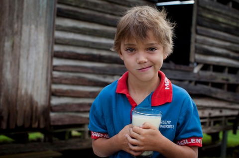 Maleny Dairies - Accommodation NT 2