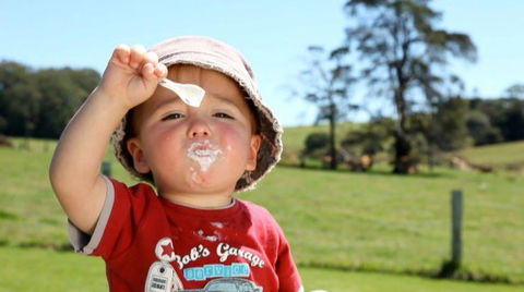 Maleny Dairies - Accommodation NT 5