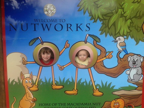 Nutworks - Accommodation NT 4