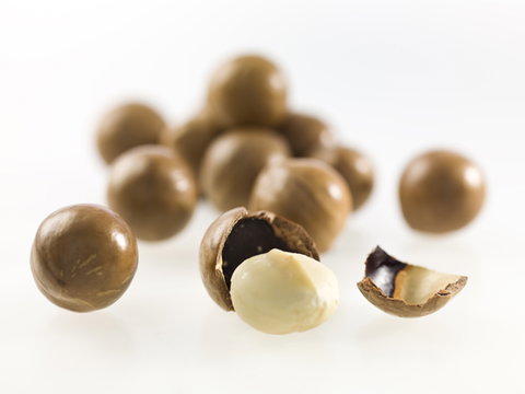 Nutworks - Accommodation NT 5