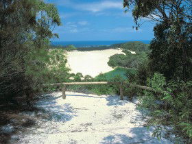 Lake Wabby Track - Accommodation NT 0