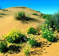 Simpson Desert National Park - Accommodation NT