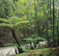 Fraser Island Great Walk - Accommodation NT