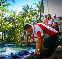 The Living Reef on Daydream Island - Accommodation NT