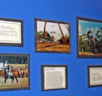 Town Hall Photographic Display - Accommodation NT