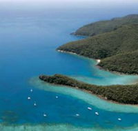 Butterfly Bay - Hook Island - Accommodation NT