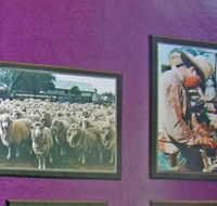 Charleville Photographic Display - Accommodation NT