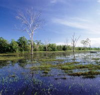 Tyto Wetlands - Accommodation NT