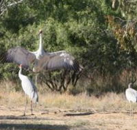 Bulloo River Walk - Accommodation NT