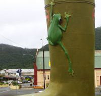 Golden Gumboot - Accommodation NT