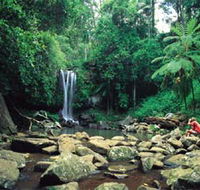 Tamborine National Park - Accommodation NT