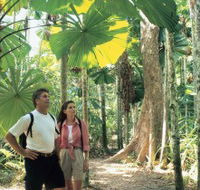 Licuala State Forest - Accommodation NT