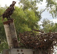 Blackall Sculpture Trail - Accommodation NT