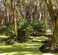 Arkarra Lagoons and Tea Gardens - Accommodation NT