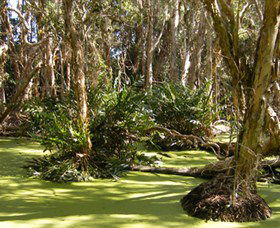 Arkarra Lagoons And Tea Gardens - Accommodation NT 0
