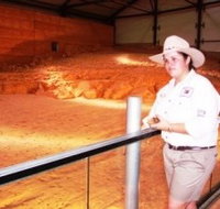 Dinosaurs and Opals Four Wheel Drive Track - Accommodation NT