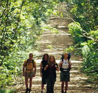 Wet Tropics Great Walk - Accommodation NT