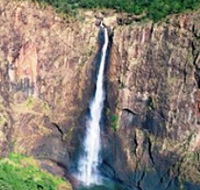 Buujan Quiinbiira Walk Wet Tropics Great Walk - Accommodation NT