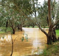 Saddliers Waterhole and Hamburg Creek - Accommodation NT