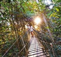 Tree Top Walkway - Accommodation NT
