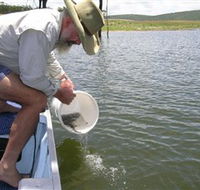 Eungella Dam - Accommodation NT