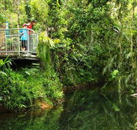 Djiru National Park - Accommodation NT