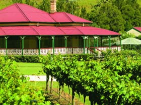 OReillys Canungra Valley Vineyards - Accommodation NT 0