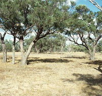 Forest Den National Park - Accommodation NT