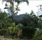 The Big Cassowary - Accommodation NT