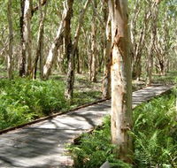 The Kommo Toera Trail - Accommodation NT