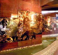 Riversleigh Fossil Centre - Accommodation NT