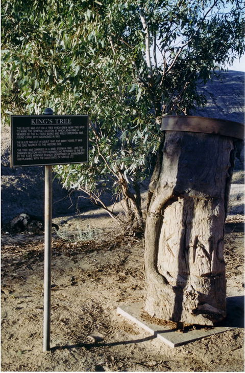 Burke And Wills Dig Tree - Accommodation NT 9
