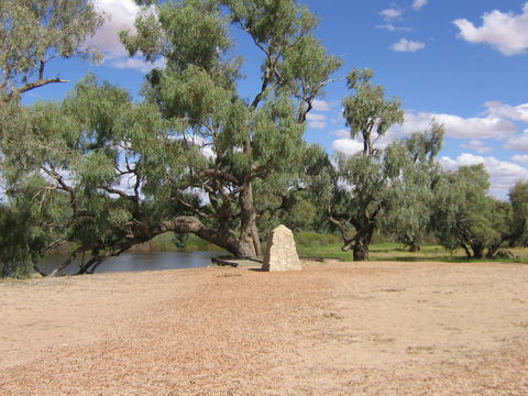 Burke And Wills Dig Tree - Accommodation NT 11