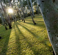 Tondoon Botanic Gardens - Accommodation NT