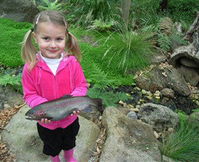 Rhyll VIC Accommodation NT