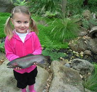 Wild Food Farm  Cafe - Accommodation NT