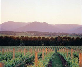Domaine Chandon - Accommodation NT 0