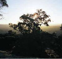 Yarra Flats - Accommodation NT