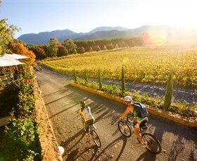 Boyntons Feathertop Winery - Accommodation NT 0