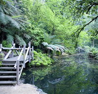 Alfred Nicholas Gardens - Accommodation NT